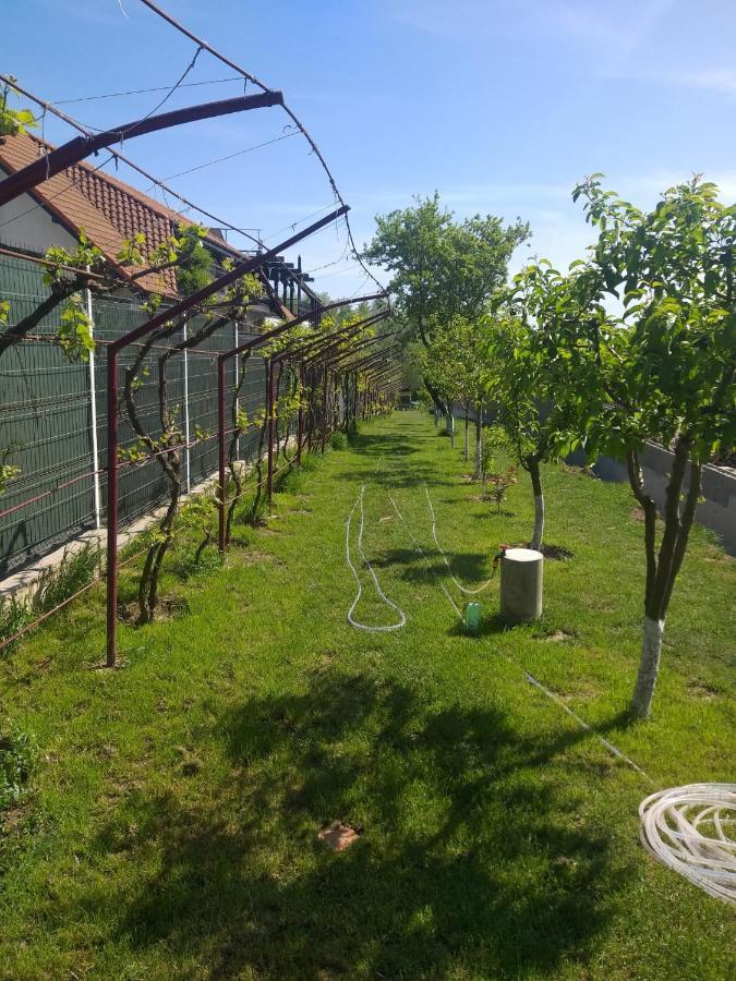 Cabanele Deltei Dunavatu de Jos Exterior foto