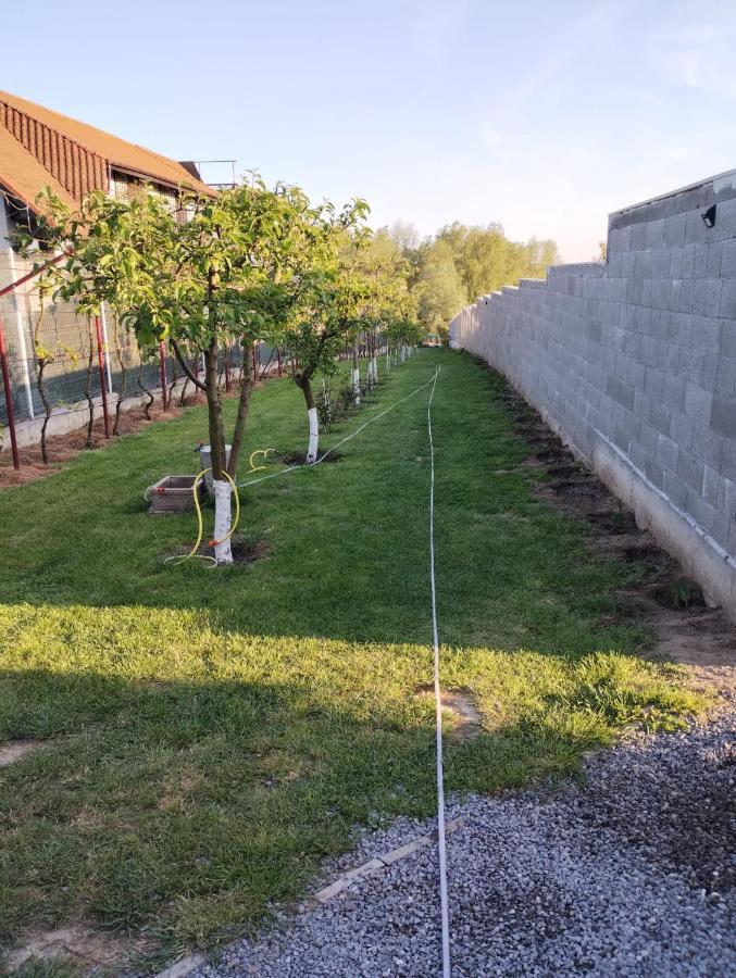 Cabanele Deltei Dunavatu de Jos Exterior foto